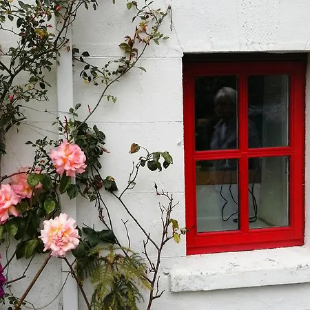 Clooncerna Ferienhaus Gort